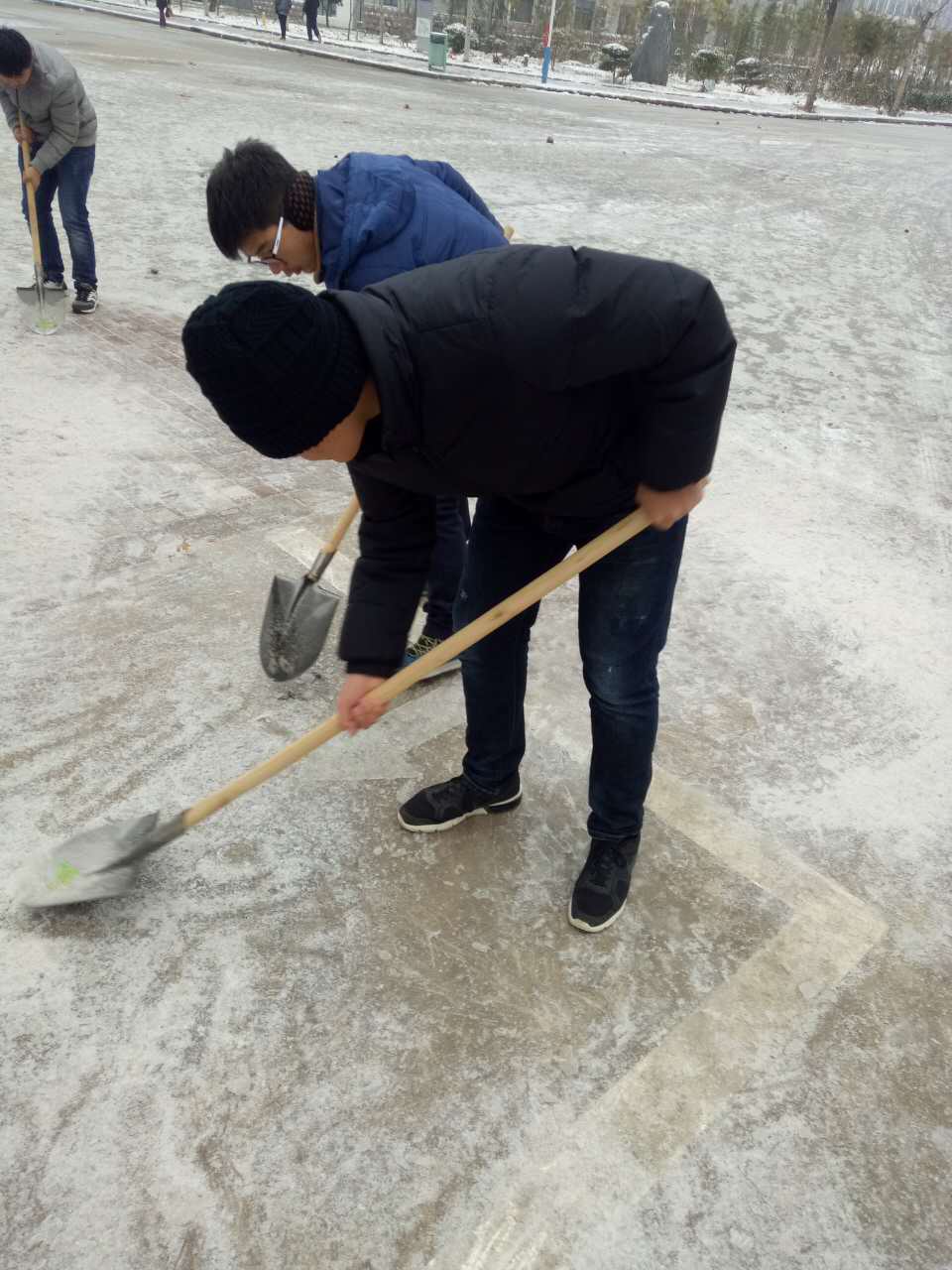 电子电气工程学院学生党支部开展除雪活动